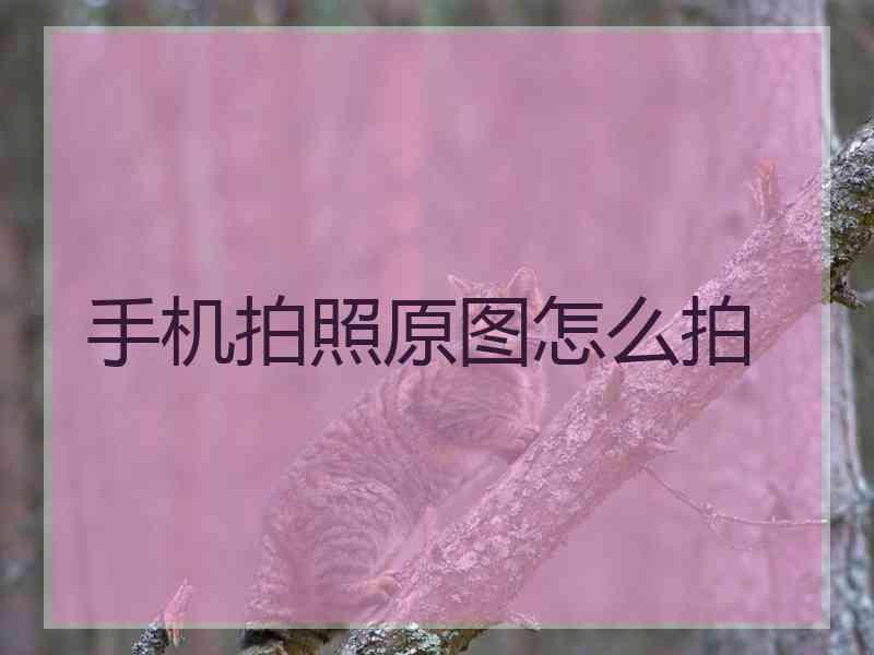 手机拍照原图怎么拍