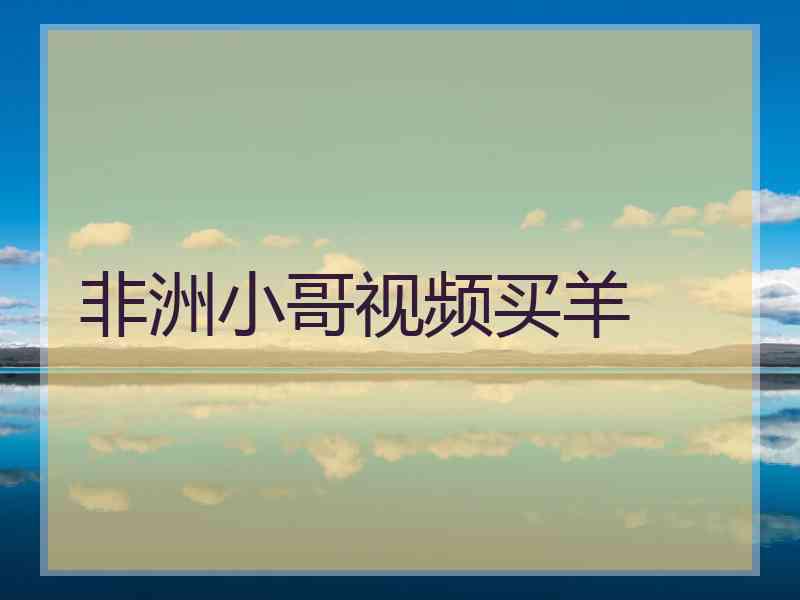 非洲小哥视频买羊
