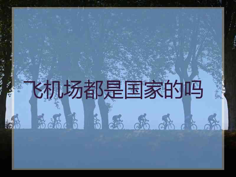 飞机场都是国家的吗