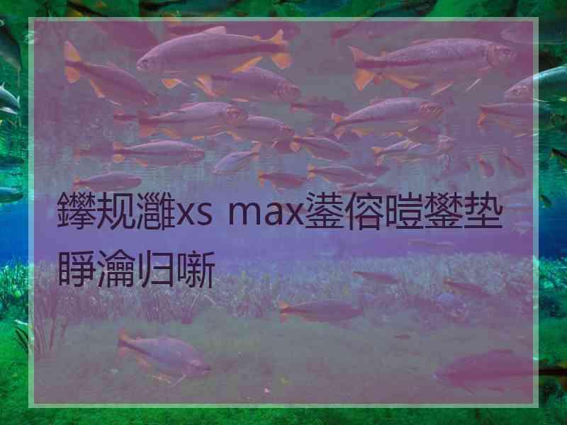 鑻规灉xs max鍙傛暟鐢垫睜瀹归噺