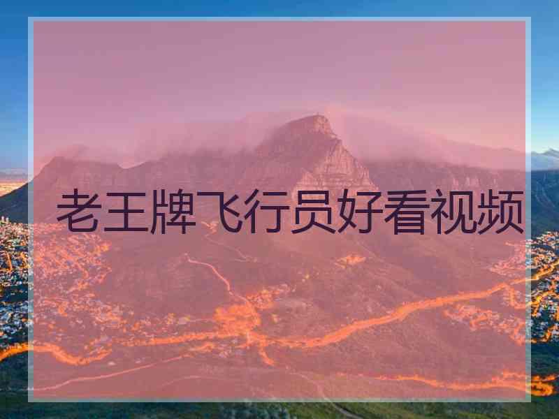 老王牌飞行员好看视频