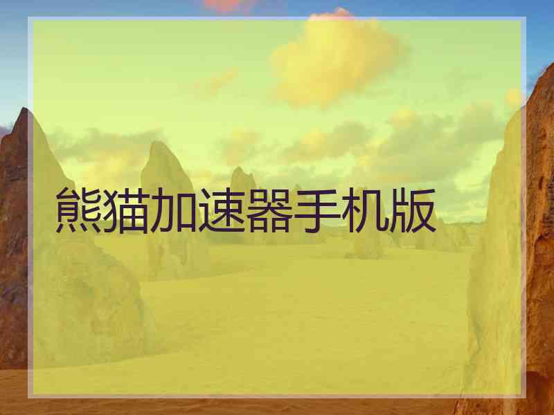 熊猫加速器手机版