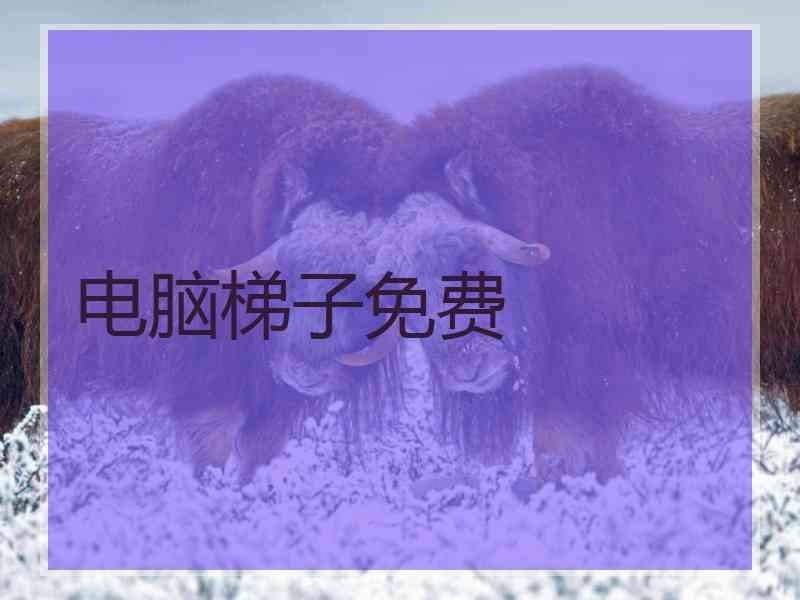 电脑梯子免费