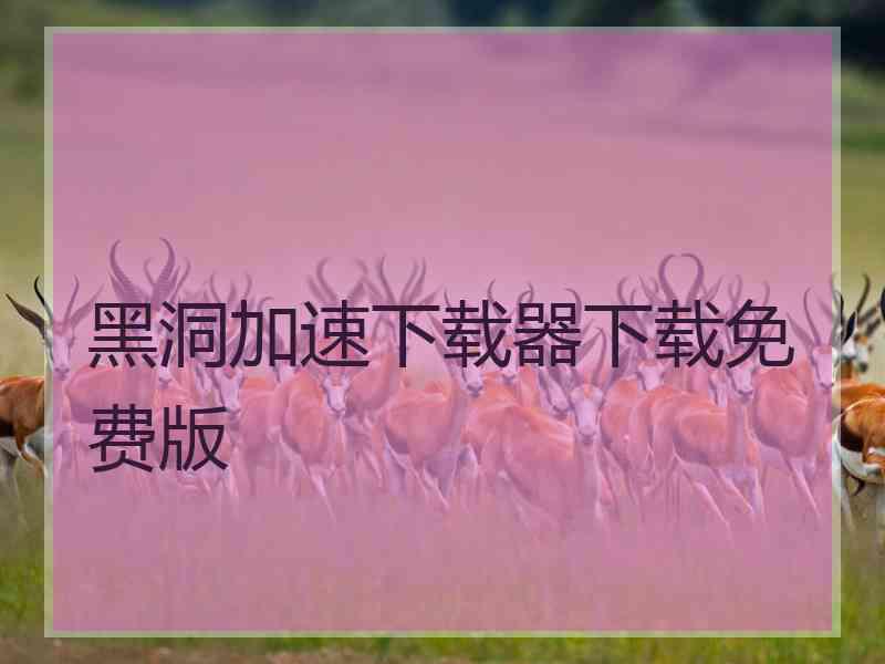 黑洞加速下载器下载免费版