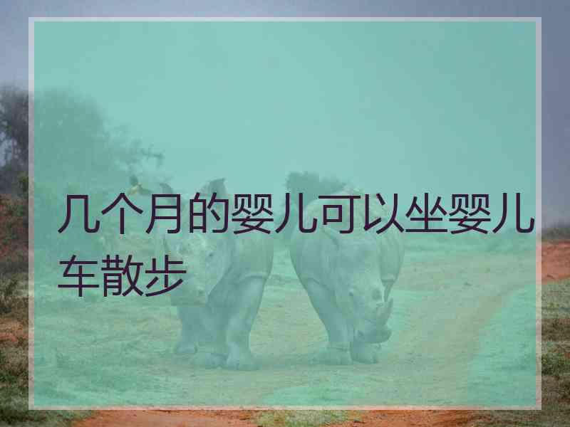 几个月的婴儿可以坐婴儿车散步