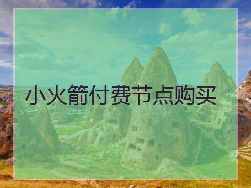 小火箭付费节点购买