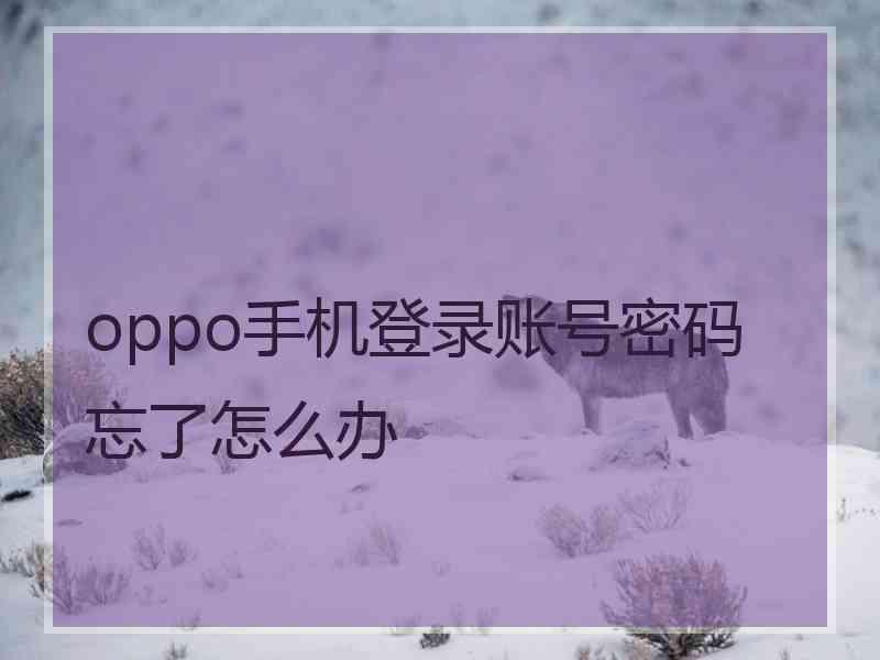 oppo手机登录账号密码忘了怎么办