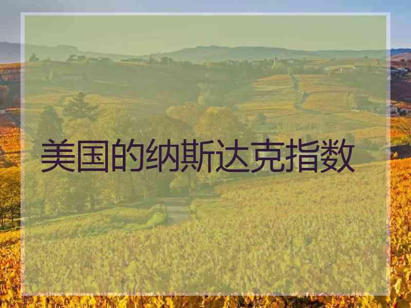 美国的纳斯达克指数