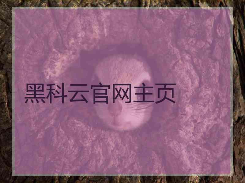 黑科云官网主页