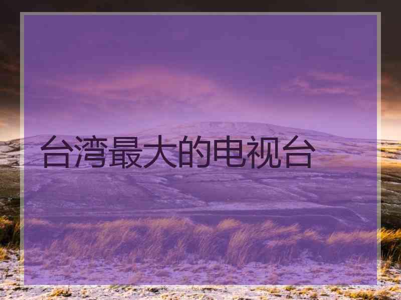 台湾最大的电视台