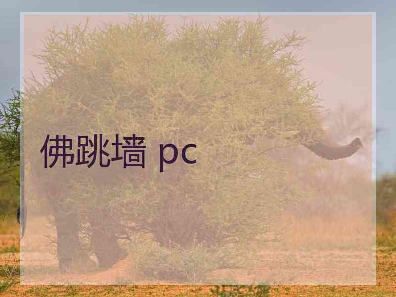 佛跳墙 pc