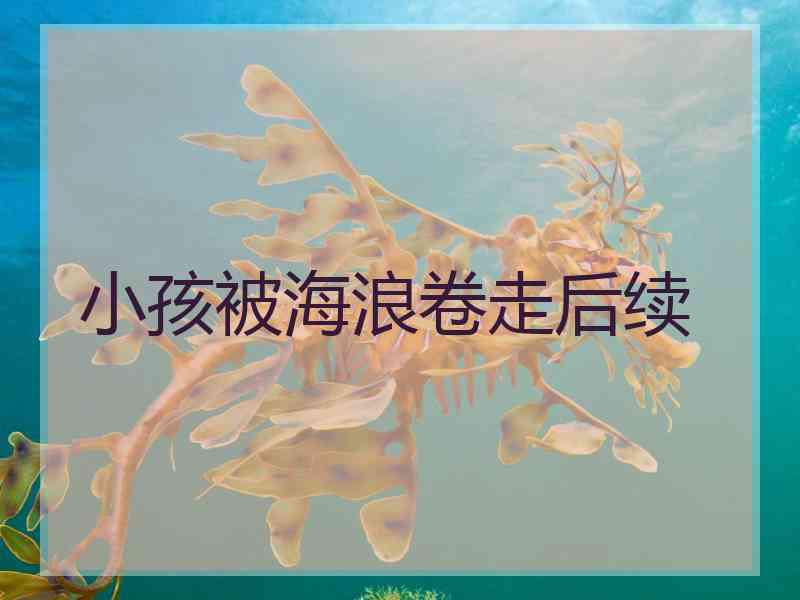 小孩被海浪卷走后续