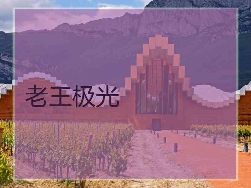 老王极光