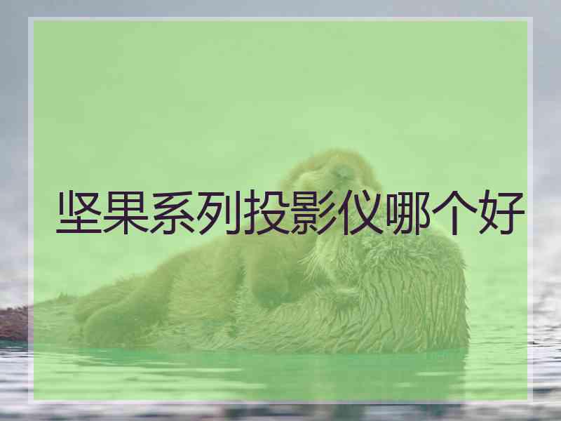 坚果系列投影仪哪个好