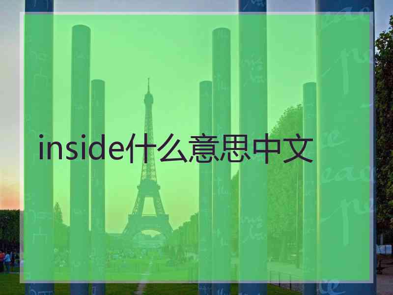 inside什么意思中文