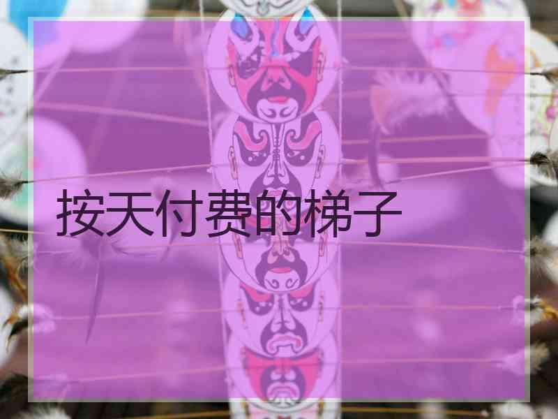 按天付费的梯子