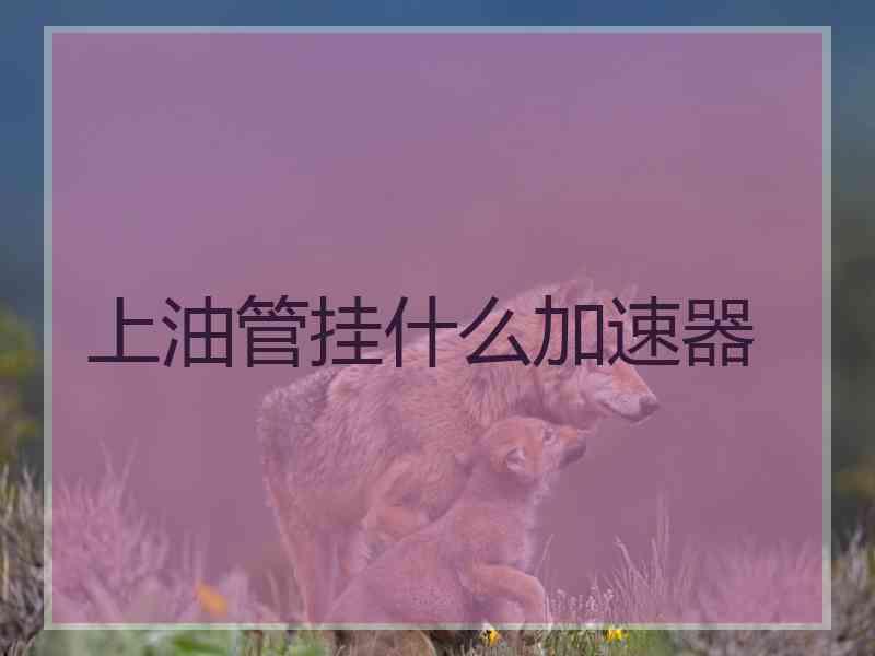 上油管挂什么加速器