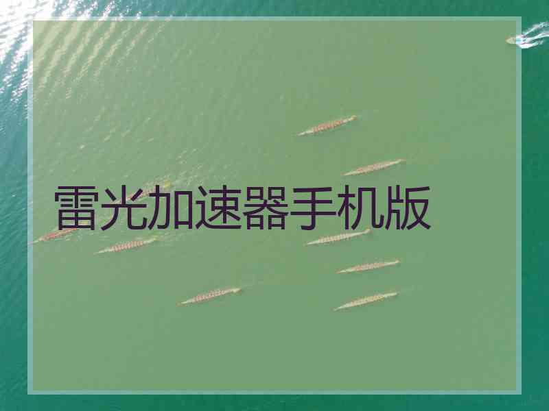 雷光加速器手机版