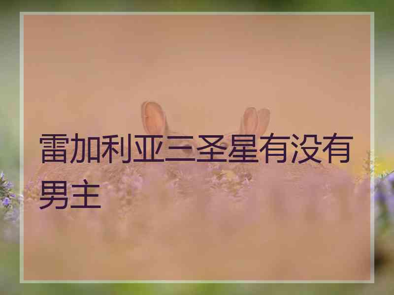 雷加利亚三圣星有没有男主