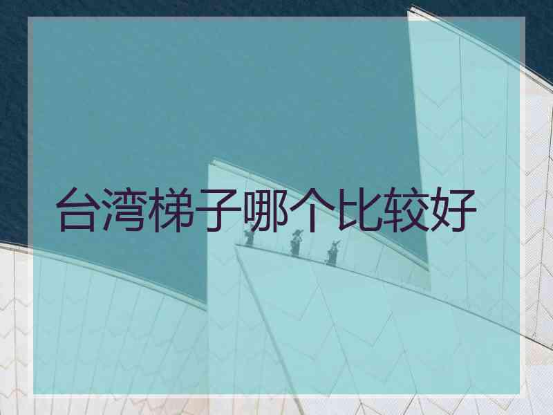 台湾梯子哪个比较好