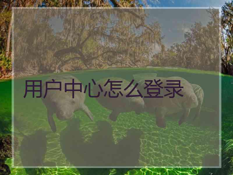 用户中心怎么登录