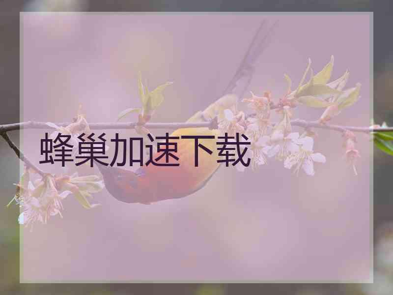 蜂巢加速下载