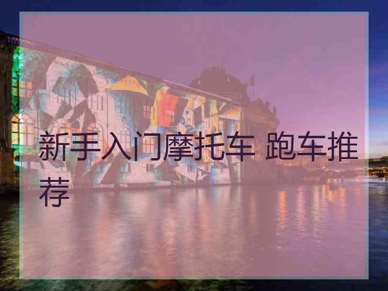 新手入门摩托车 跑车推荐