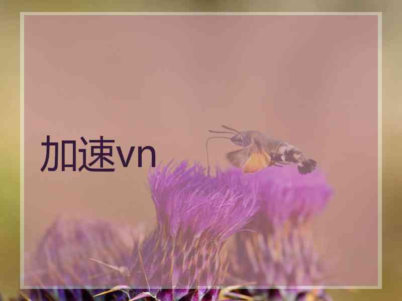 加速vn
