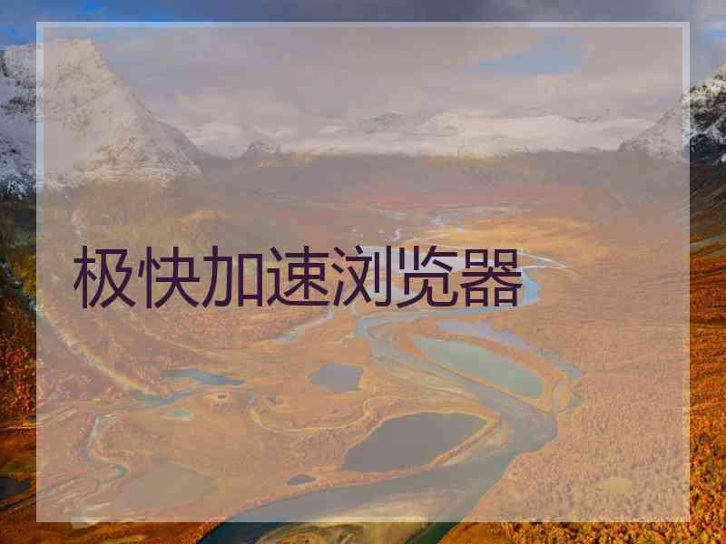 极快加速浏览器