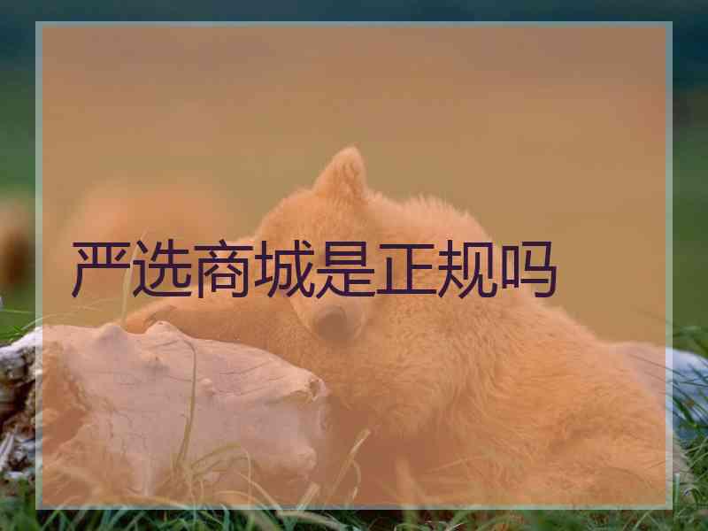严选商城是正规吗