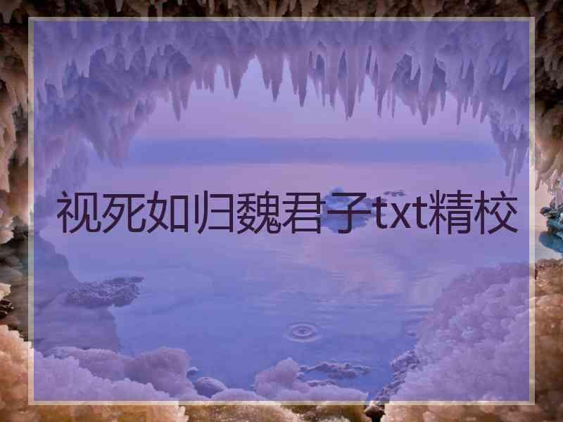 视死如归魏君子txt精校