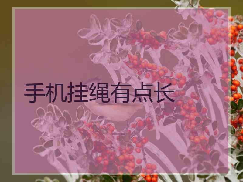 手机挂绳有点长