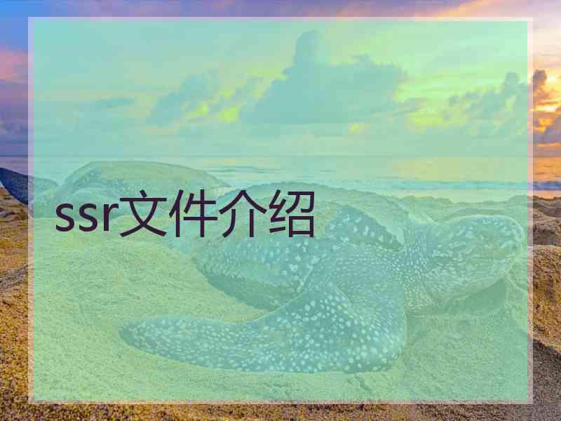 ssr文件介绍