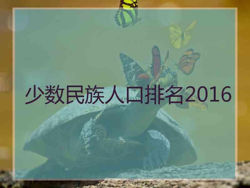 少数民族人口排名2016