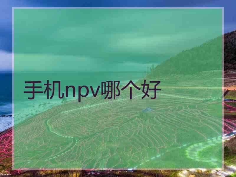 手机npv哪个好