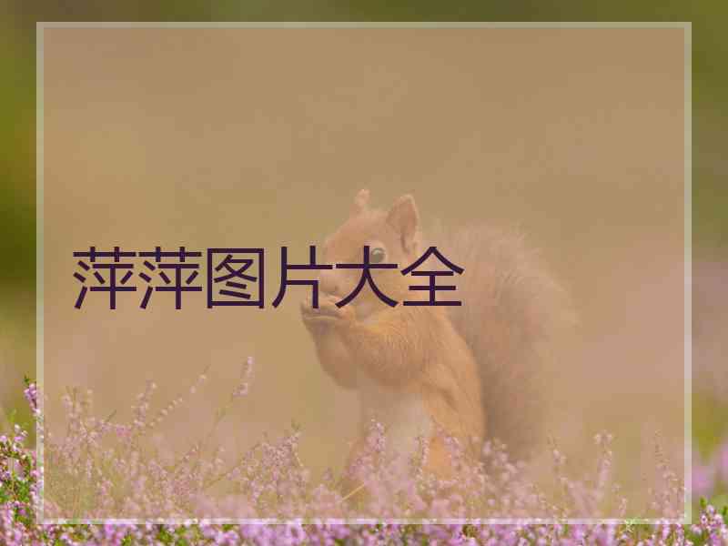 萍萍图片大全