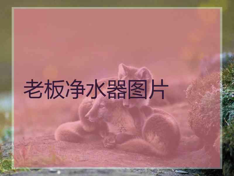 老板净水器图片