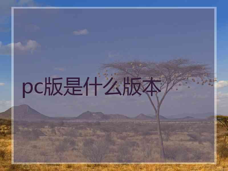 pc版是什么版本