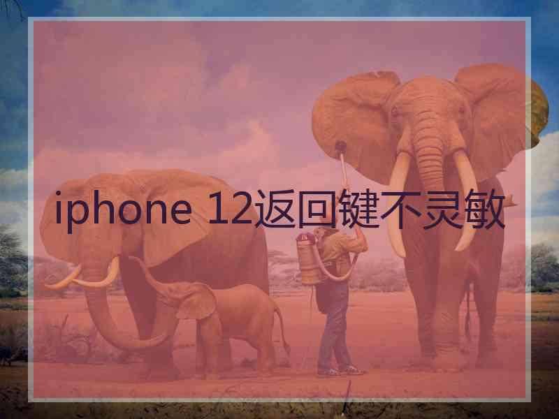 iphone 12返回键不灵敏