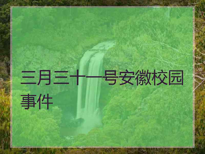 三月三十一号安徽校园事件