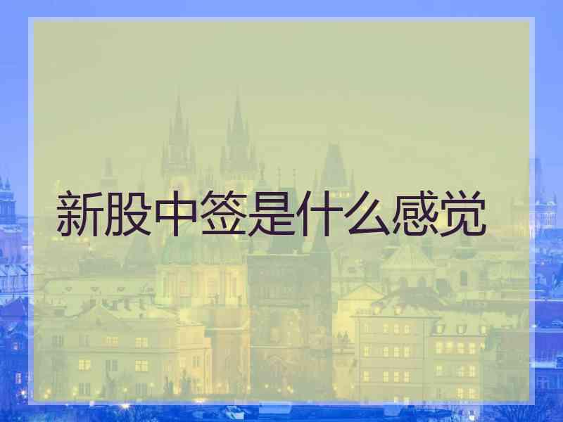 新股中签是什么感觉