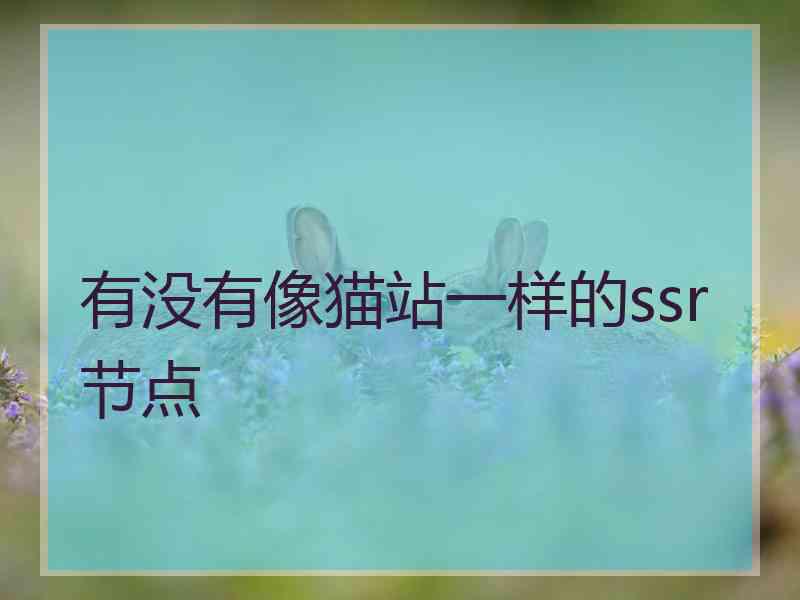 有没有像猫站一样的ssr节点