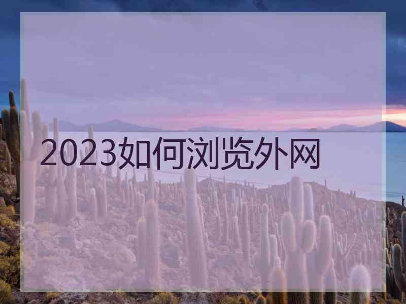2023如何浏览外网