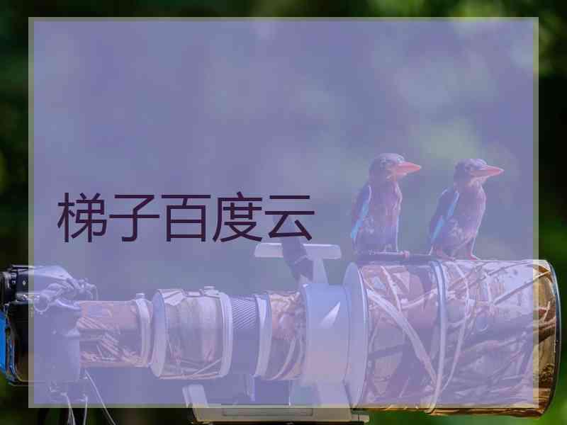 梯子百度云