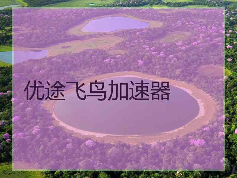 优途飞鸟加速器