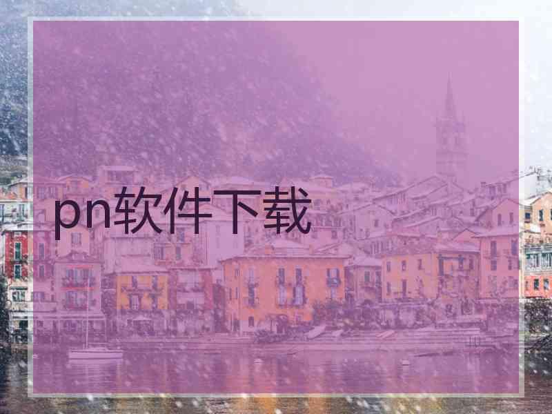 pn软件下载