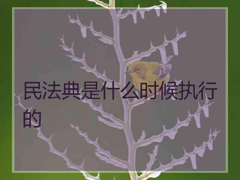 民法典是什么时候执行的
