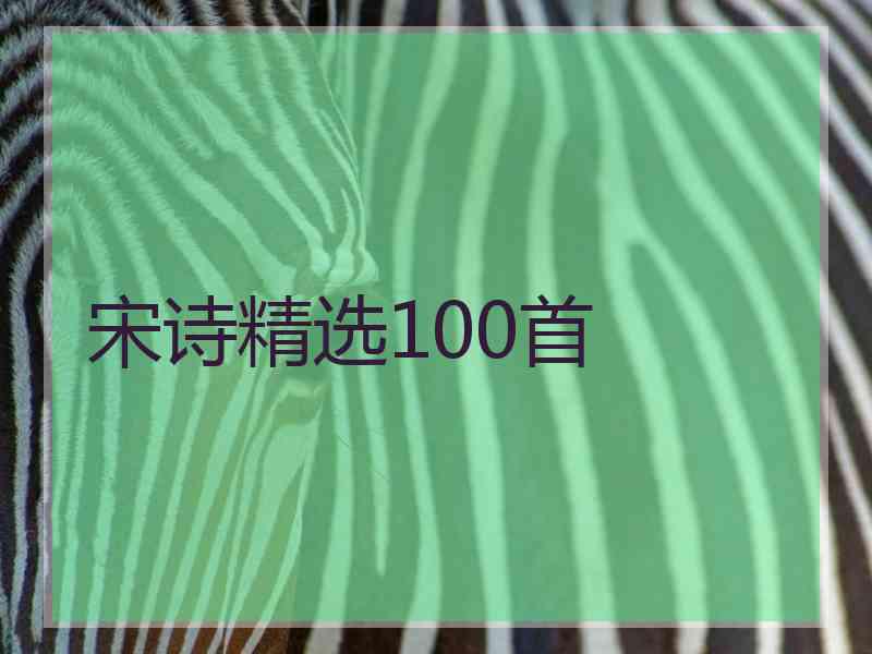 宋诗精选100首