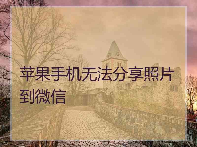 苹果手机无法分享照片到微信