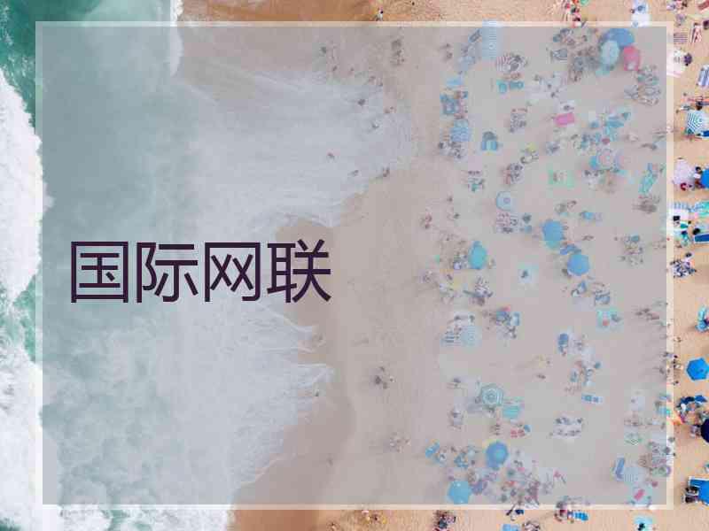 国际网联